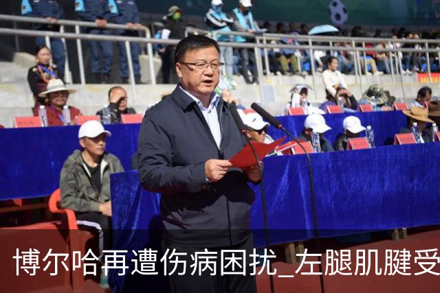 博尔哈再遭伤病困扰 左腿肌腱受损需休战一个半月